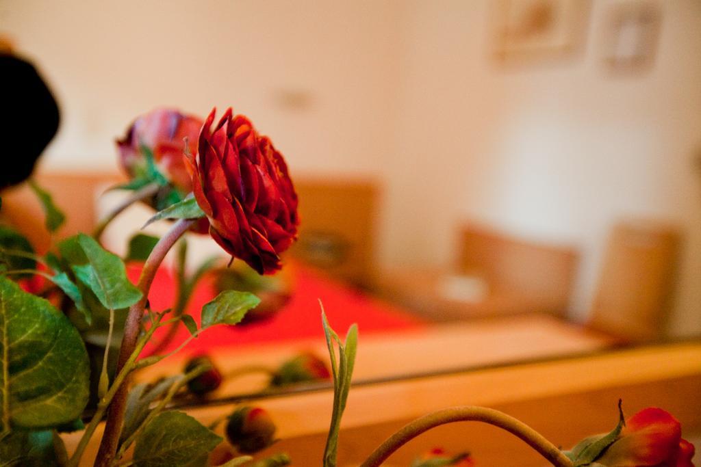 Hotel Possidon Aegina Habitación foto